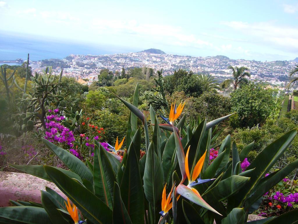 Apartment - The Historical Center Of Funchal In Alojamento Local Экстерьер фото